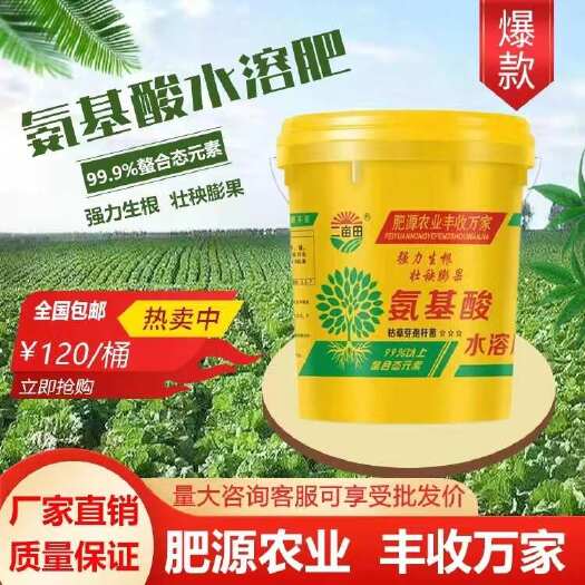 邯郸氨基酸水溶肥 生根壮苗 提质增产