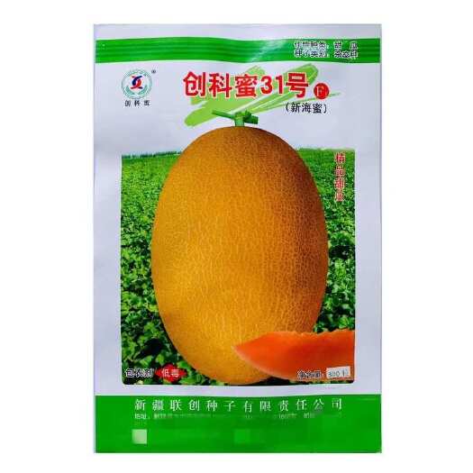 昌吉市创科蜜31号 新疆哈密瓜种子甜瓜种籽黄皮桔红肉甜瓜香瓜水果种