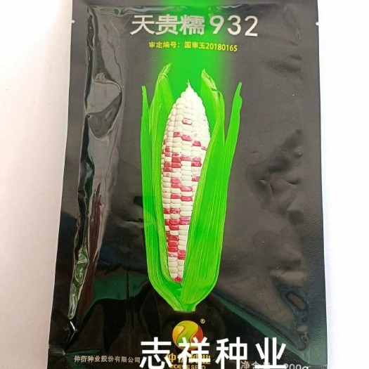 华容县四川仲衍国审天贵糯932彩甜糯玉米种子 早熟 棒大芯小 好吃