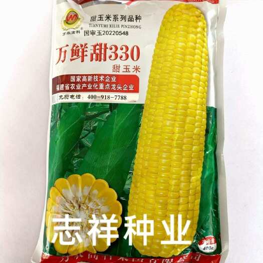 华容县万农万鲜甜330甜玉米种子国审鲜食黄色甜玉米水果玉米种籽矮杆