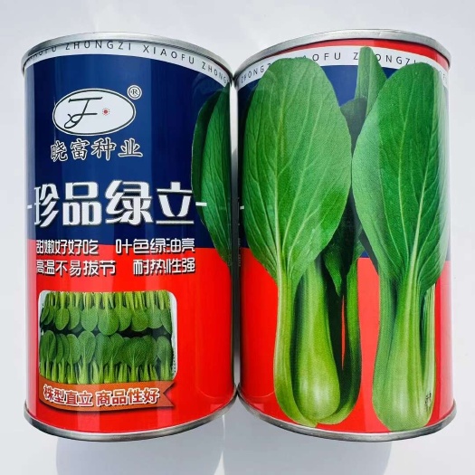 晓富珍品绿立青梗菜种子耐热绿翡翠青梗菜种子 珍品油绿青梗菜籽