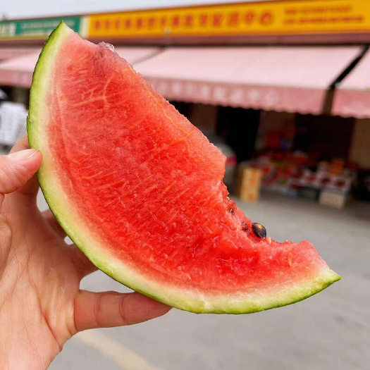 新疆吐鲁番小西瓜
吐鲁番乌鲁木齐发货