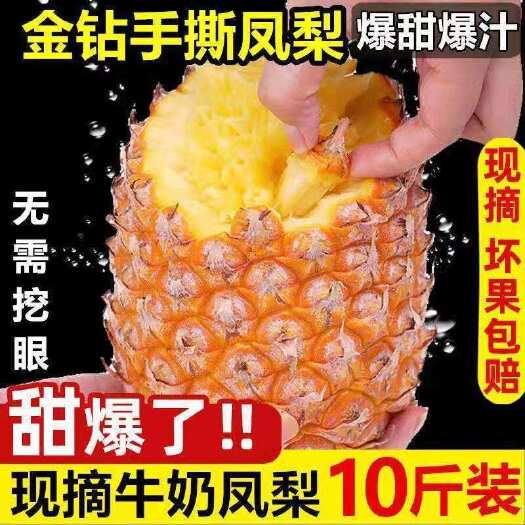 金钻凤梨新鲜10斤手撕菠萝整箱新鲜水果风梨当季香水菠萝整箱