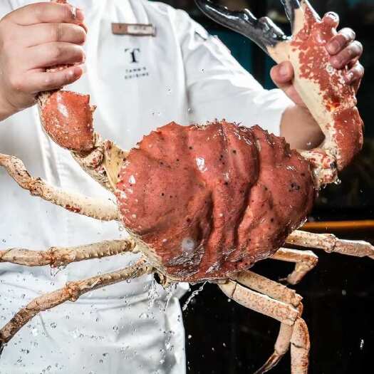 【鲜活皇帝蟹】澳洲皇帝蟹，4-20斤/只