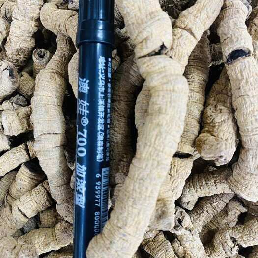 广州巴戟肉手工货