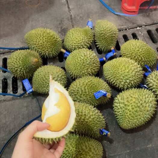  榴莲