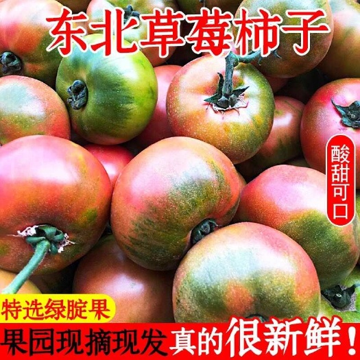 东北老品种草莓柿子净重5斤可代发