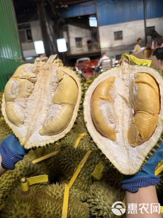 一件代发货泰国金枕十托曼尼榴莲鲜果肉厚核小干包黄肉软糯香