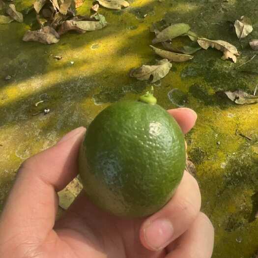  青柠檬