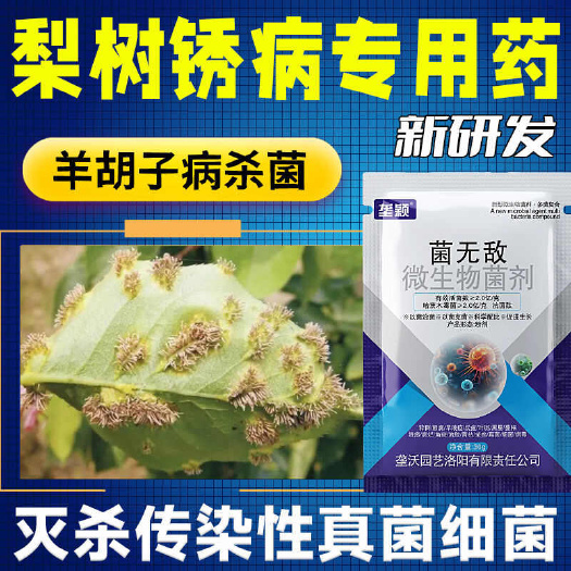 栾川县梨树锈病专用羊胡子梨树病全治黑斑病褐斑病软腐病菌剂