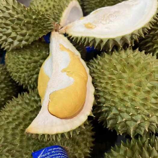  托曼尼