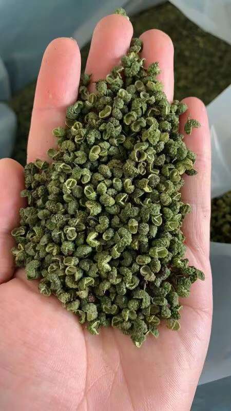 成都精品藤椒，茂纹花椒
