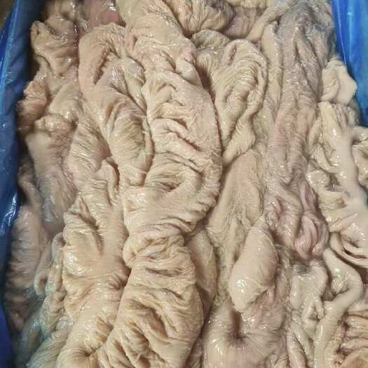 郑州驴板肠  鲜板肠干净免洗 精修无油