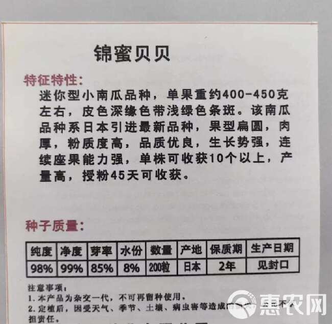 贝贝南瓜苗 抗病 产量好 育苗基地直发！