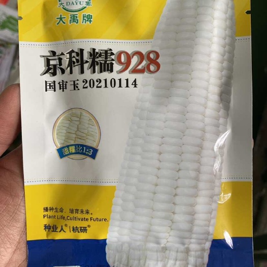 正定县国审白甜加糯玉米种子