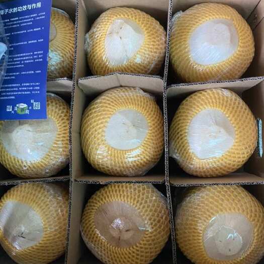 文昌市椰青加工，9个装，6个装，4个装