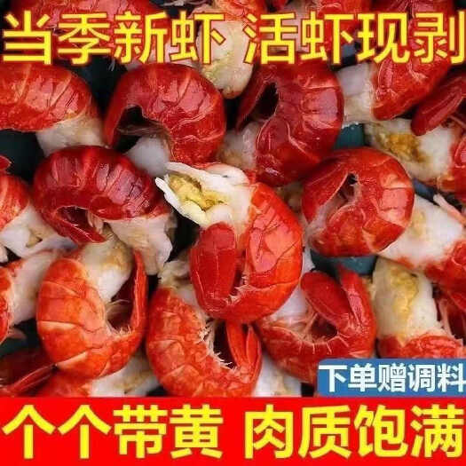 连云港无冰衣龙虾尾现剥特大号活虾龙虾虾球小龙虾鲜活速冻海鲜水产批发