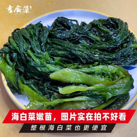 大连海白菜整颗裙带菜