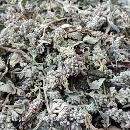 秦岭蒙花当年新货密蒙花干染饭花干九里香干密蒙花密蒙花