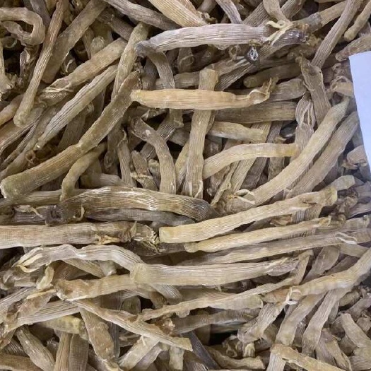 沙虫干 批发北海原色沙虫干 无沙足干颜色好
