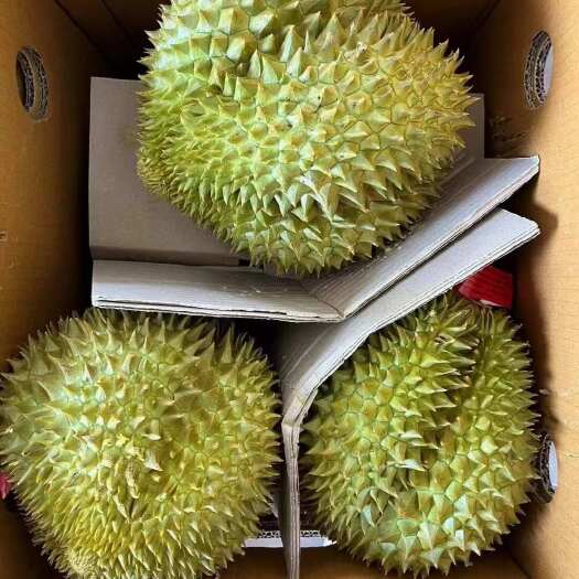  榴莲