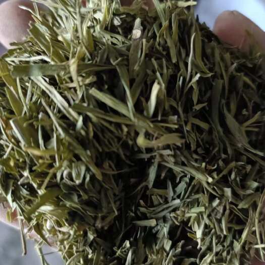 亳州精品石竹