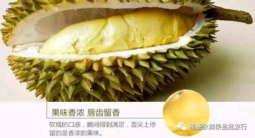 石家庄干尧
