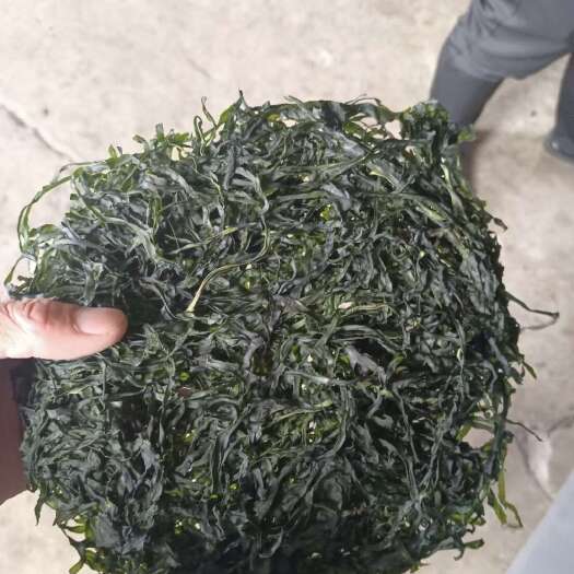 霞浦县烘干圆饼丝