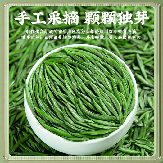 雀舌明前新茶特级正宗贵州湄潭翠芽浓香绿茶嫩芽春茶散装礼盒装