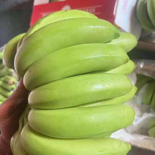 上海菲律宾精品二级青蕉，品质邦邦硬，果面干净不受寒，保质保量