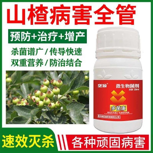 栾川县山楂锈病专用微生物菌剂白粉病腐烂病干腐病叶点病花腐病叶面肥