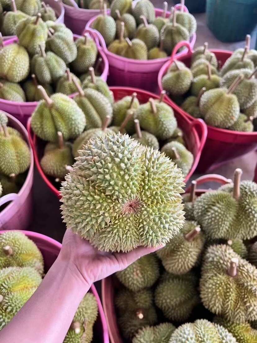 榴莲