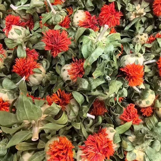 玉林红花果