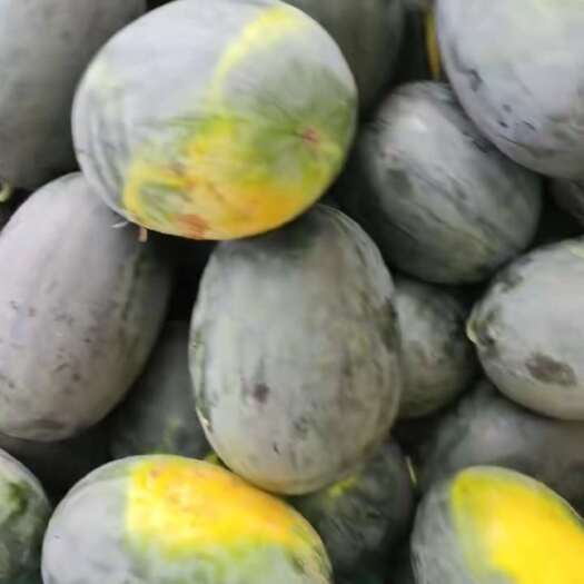 南宁大量甜王，黑美人出售  每日产量10万斤