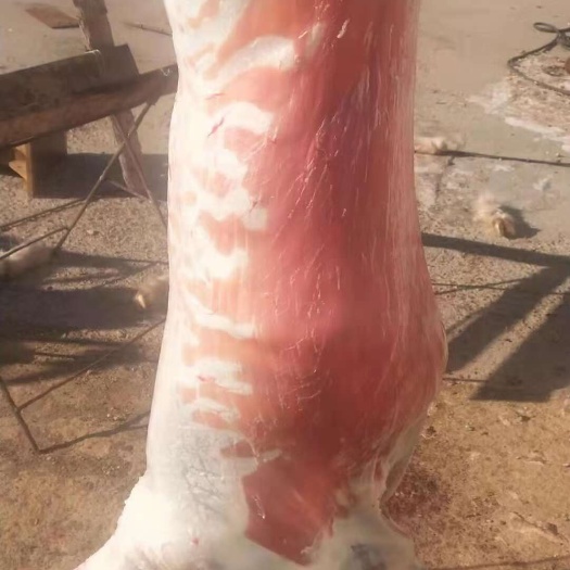 内蒙古跑坡牛羊肉，如假包赔。