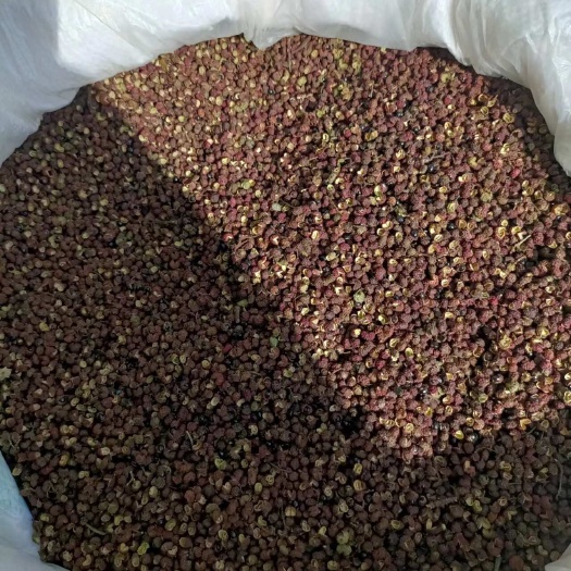 金阳县50斤包邮 2023年青花椒/青麻椒/净度高/色选精选无刺