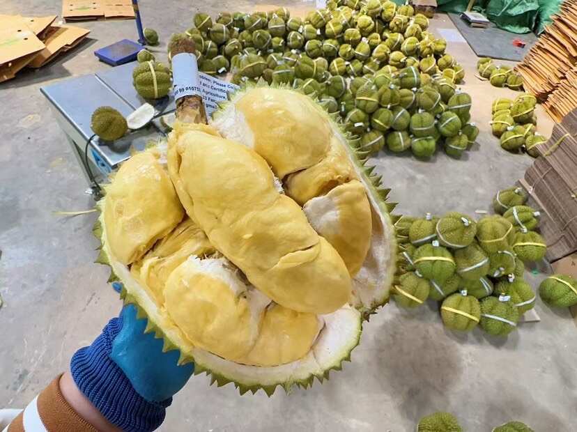 榴莲