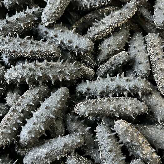 广州辽参淡干开肚刺参足干肉质饱满海参