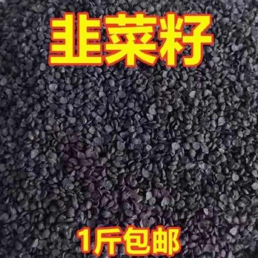 韭菜籽新货韭菜籽中药材韭菜籽干净无杂一斤包邮