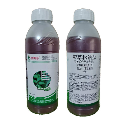 滨州中山棱阔莎48%灭草松大豆除草剂三棱草水葱香附子除草