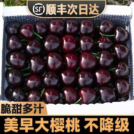 民权县【顺丰包邮】现货当季现摘大樱桃国产车厘子新鲜孕妇水果