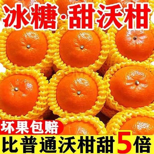 鹤庆县【甜】正宗沃柑超甜新鲜多汁桔子当季水果孕妇橘子现货批发武鸣