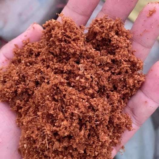 广州育苗基质椰糠