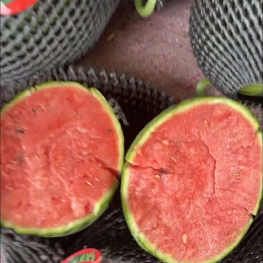 潍坊精品小糖丸一级2k头茬西瓜，种植基地直发包熟包甜口感脆甜