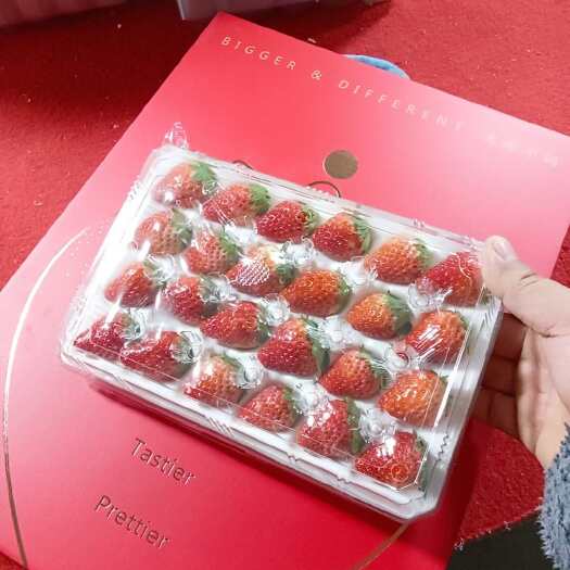 会泽县蒙特瑞