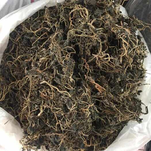 泗阳县野生马齿苋干菜