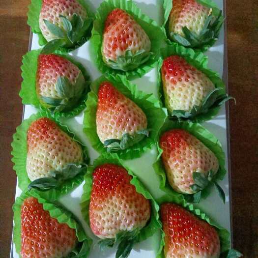 会泽县蒙特瑞夏季草莓