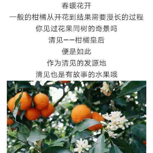 仁寿县青枧上市1.5每斤欢迎购买，186这个2886的号9602