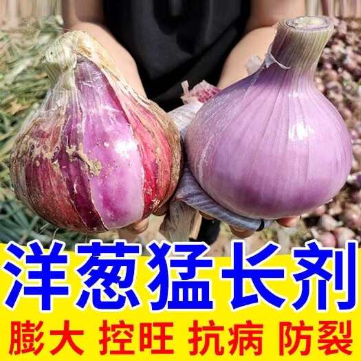栾川县洋葱膨大素洋葱增产肥地下根茎膨大剂洋葱防裂控旺抗病增产专用肥