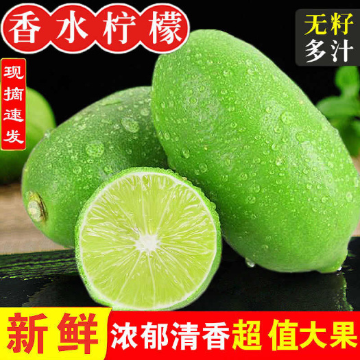 海口海南香水柠檬青柠檬无籽柠檬新鲜柠檬批发包邮
